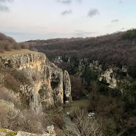 Ivovata House *